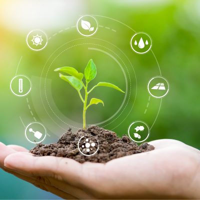 ecosysteme ecosysteme.png