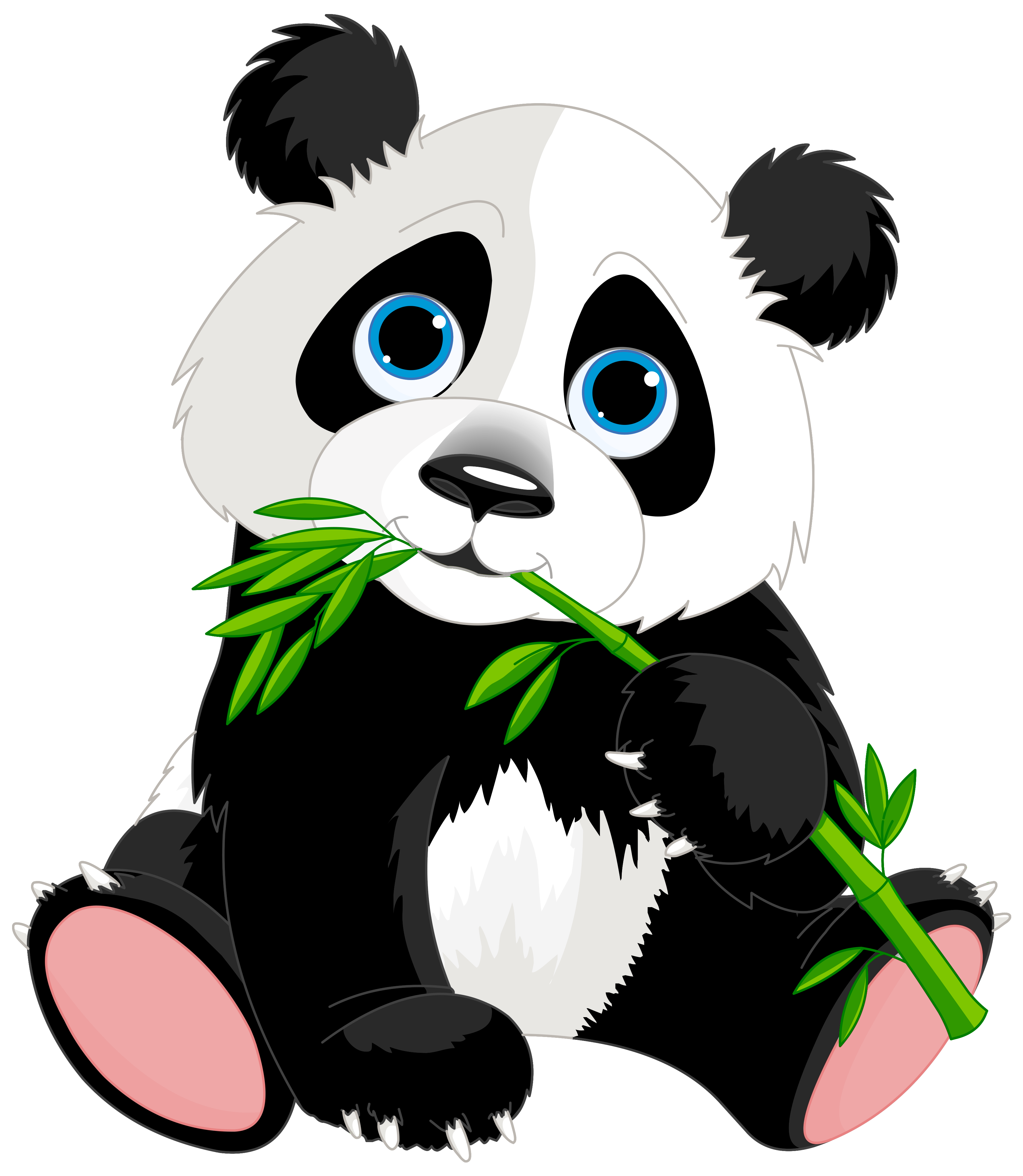 panda.png
