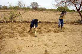 conservationsol conservationsol.jpg